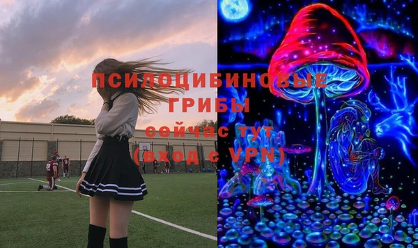 амфетамин Елизово