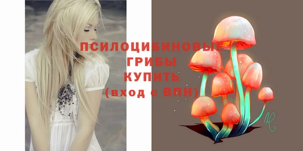 амфетамин Елизово